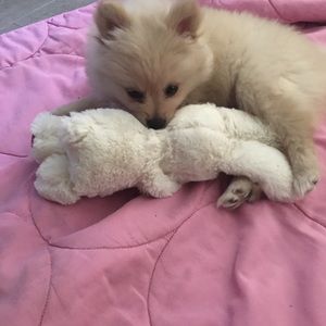 Meet your Posher, Mayra